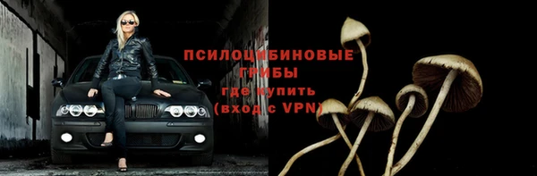 стафф Балахна