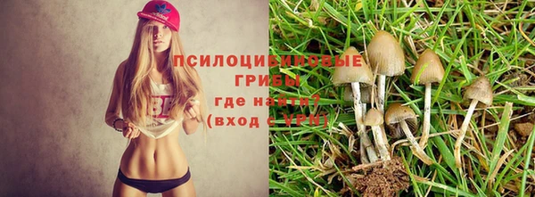 стафф Балахна