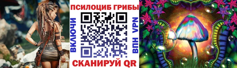 продажа наркотиков Фёдоровский Псилоцибиновые грибы Cubensis